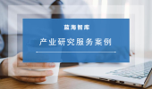 产业研究服务案例