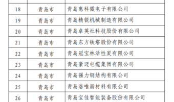 蓝海智库投资企业青岛海之晨工业装备有限公司获评国家级专精特新“小巨人”企业