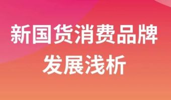 新国货消费品牌发展浅析