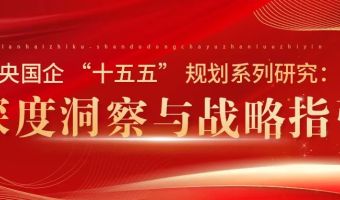 央国企“十五五”规划深度洞察与战略指引——站在新起点，迈向新征程，拥抱新变局，谋划新突破