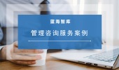 管理咨询服务案例
