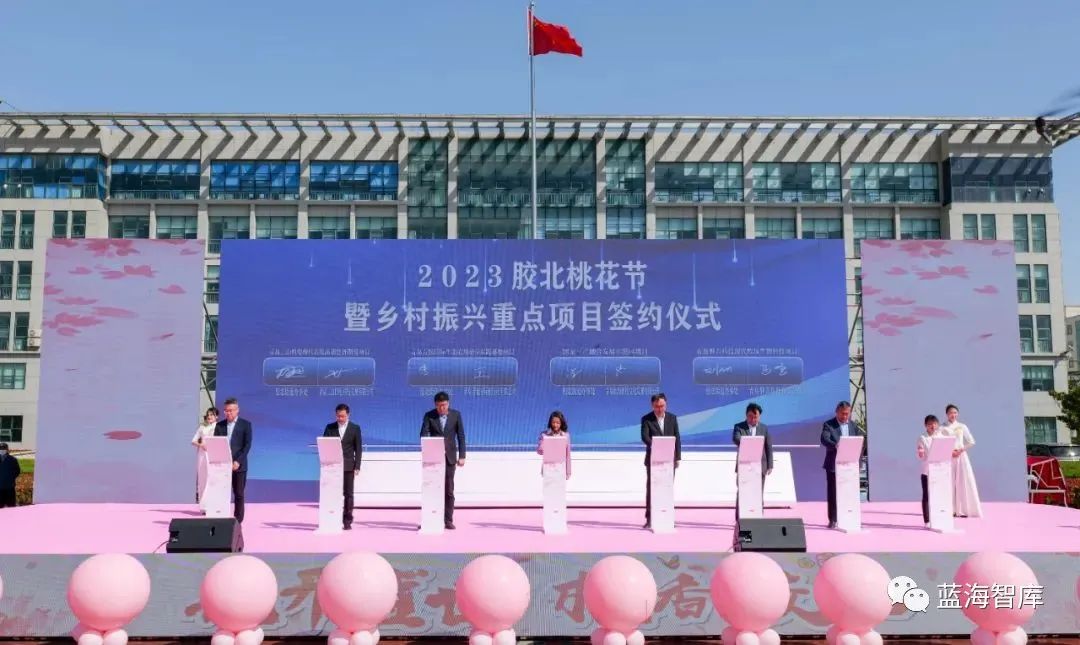 桃花2.jpg